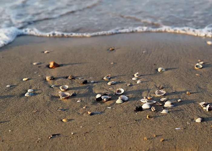 Comfortable Overlooking The Sea